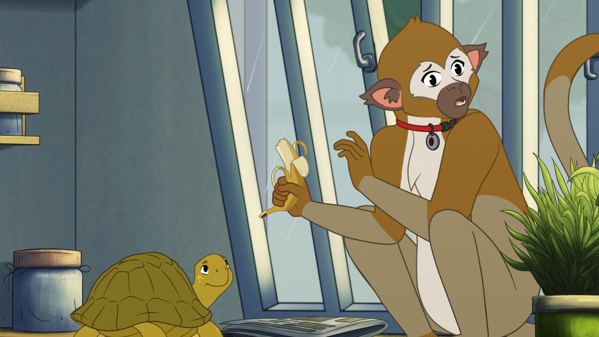 Eine kleine, grüne Schildkröte steht einem braunen Affen gegenüber, der größer ist als sie. Der Affe trägt ein rotes Halsband und hält eine Banane in der rechten Hand. Er schaut erschrocken zur Seite, während Törtel, die Schildkröte, auch in diese Richtung schaut und grinst. Neben den beiden liegt eine Zeitung. Auf der anderen Seite stehen kleine Topfpflanzen. Im Hintergrund ist ein Fenster gekippt.