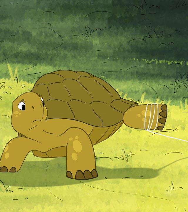 Eine kleine, grüne Schildkröte steht auf einer hellgrünen Wiese. Das hintere Bein ist nach hinten ausgestreckt und von einer hellen Schnur umwickelt. Am Ende der Schnur ist ein kleiner Angelhaken in Form eines Fisches, der im Boden feststeckt. Die Schildkröte blickt besorgt darauf.