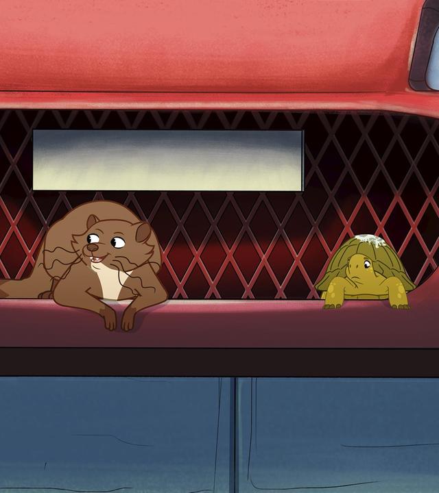 Schildkröte Törtel sitzt auf dem unteren Rand der Umrandung eines Auto-Kühlergrills. Auf seinem Panzer ist ein weißer Fleck. Links neben ihm sitzt der braune Marder Kevin.