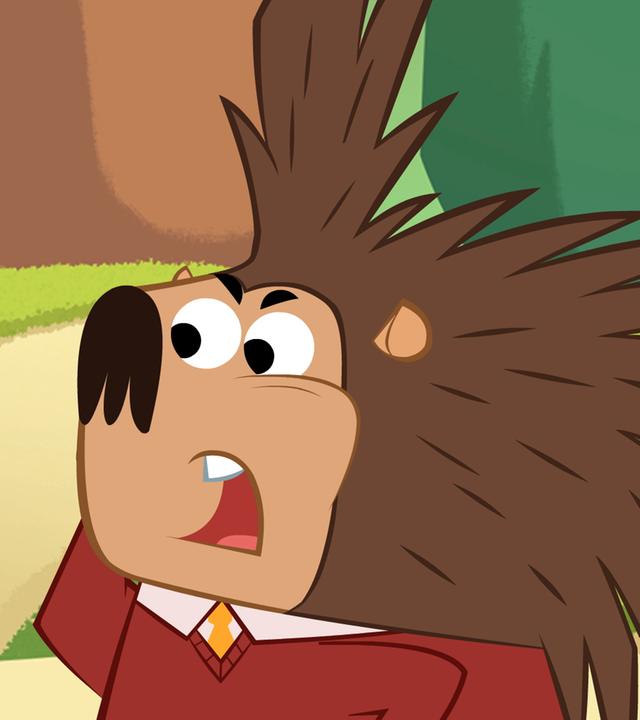 Das Stachelschwein ist entsetzt. Der Juckreiz ist so schlimm, dass es sich immerzu kratzen muss.