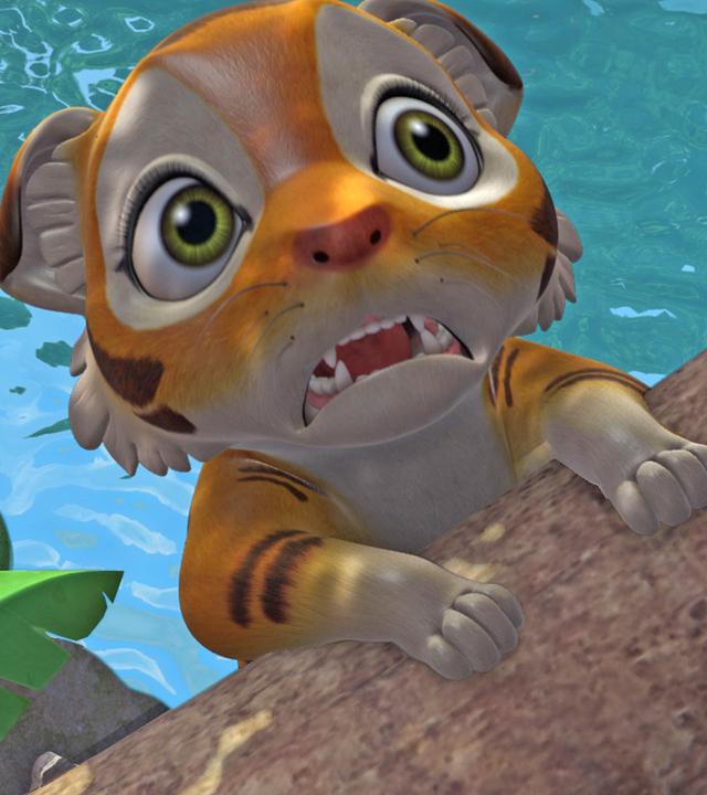 Der kleine Tigerjunge Chota schaut verängstigt mit aufgerissenen Augen. Er klammert sich an einem Ast fest. Unter ihm ist Wasser.