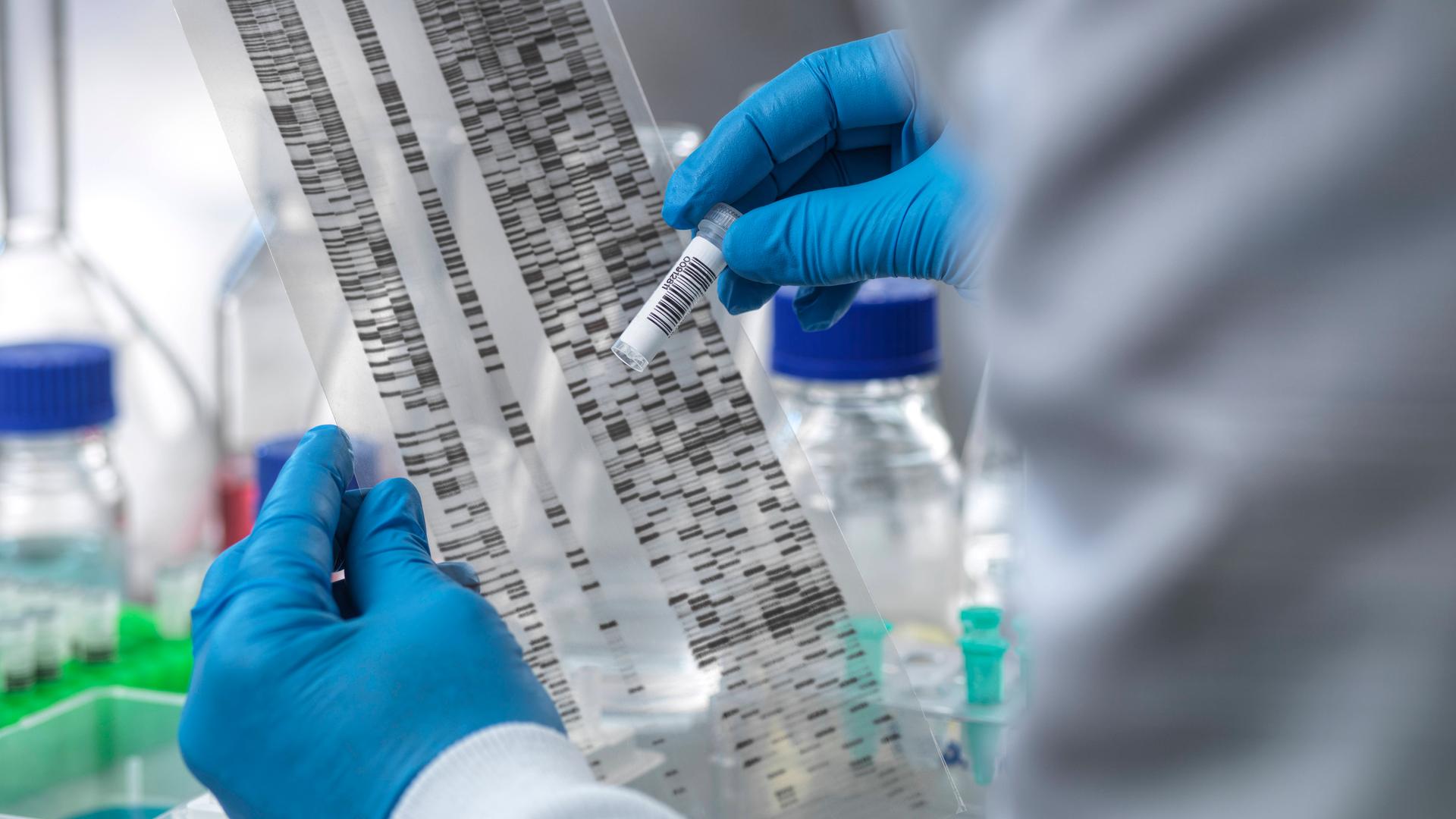 Wissenschaftler analysiert Proben im Labor