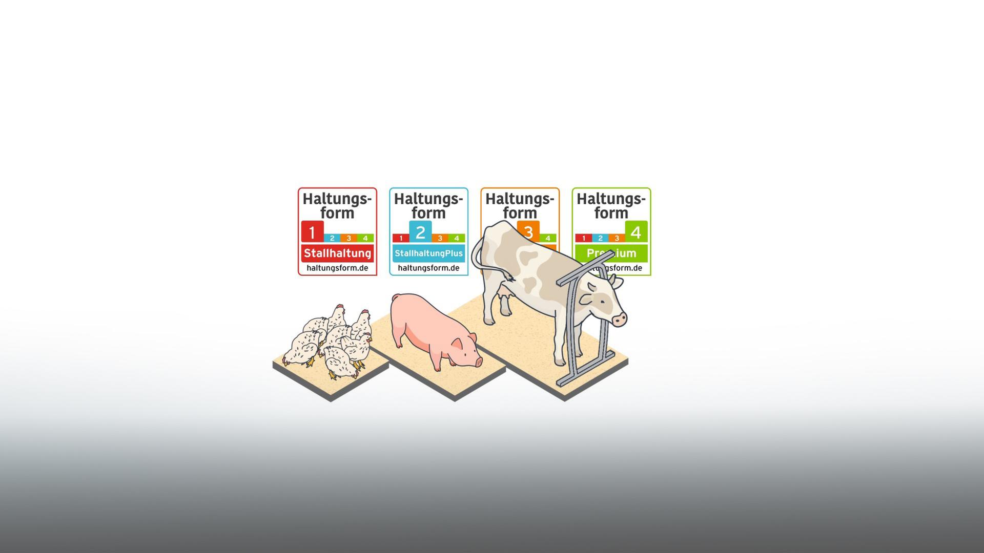 Das Foto zeigt Illustrationen von Hühnern, ein Schwein und ein Rind - und die vier Stufen des Haltungsform-Labels.