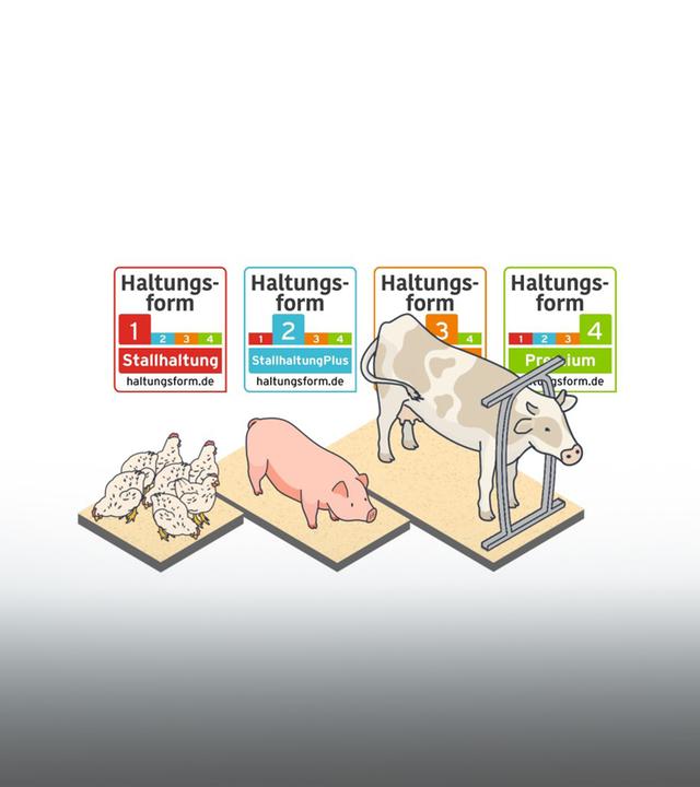 Das Foto zeigt Illustrationen von Hühnern, ein Schwein und ein Rind - und die vier Stufen des Haltungsform-Labels.
