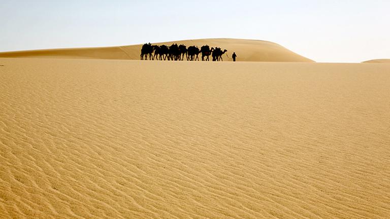 Standbild:Die Farben der Wüste: Die gelbe Sahara