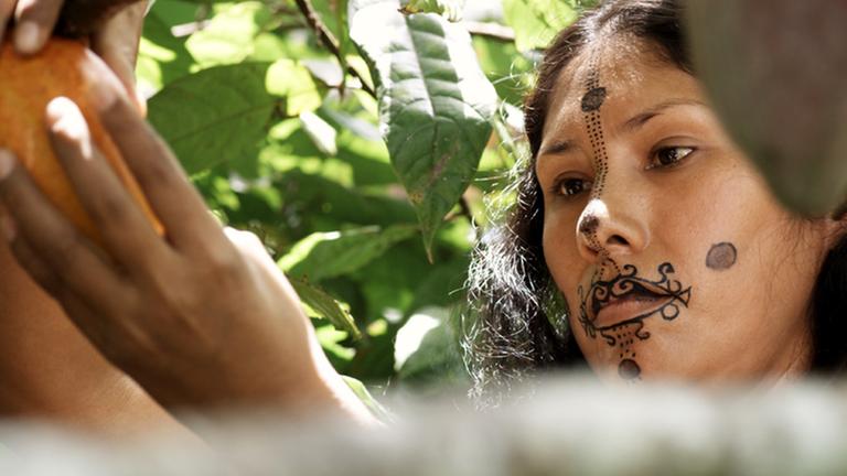 Standbild:Der geheime Kontinent (1/2)