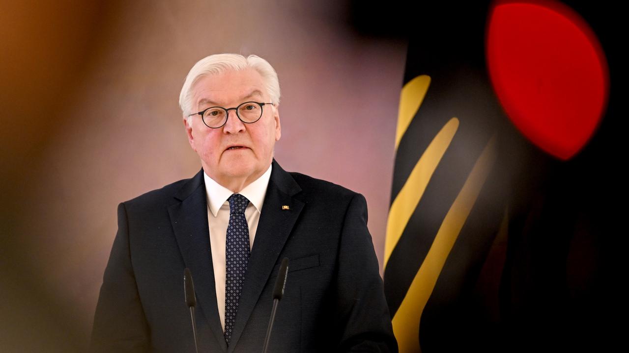 Steinmeier warnt vor 