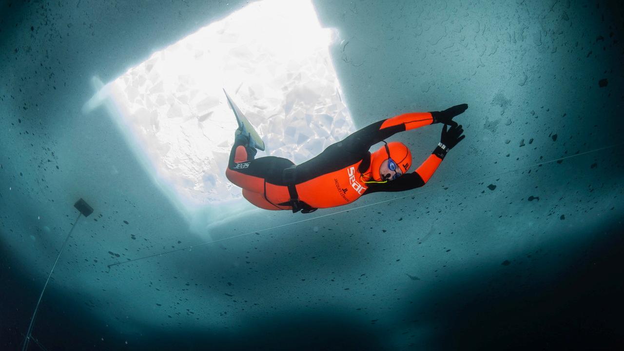 Freitaucherin Valentina Cafolla taucht in einem scharz-orangenen Neoprenanzug unter dem Eis. Über ihr sieht man ein viereckiges Loch im Eis. 