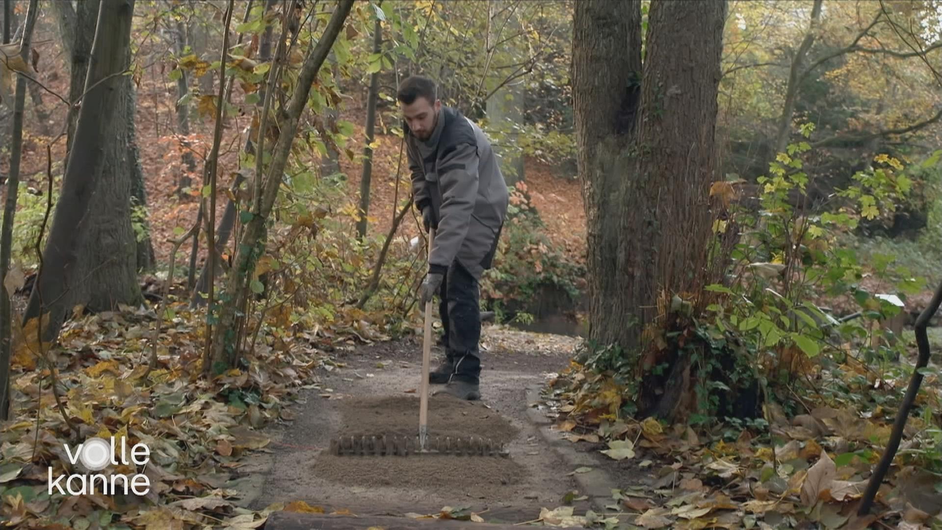 Mann arbeitet an Waldweg