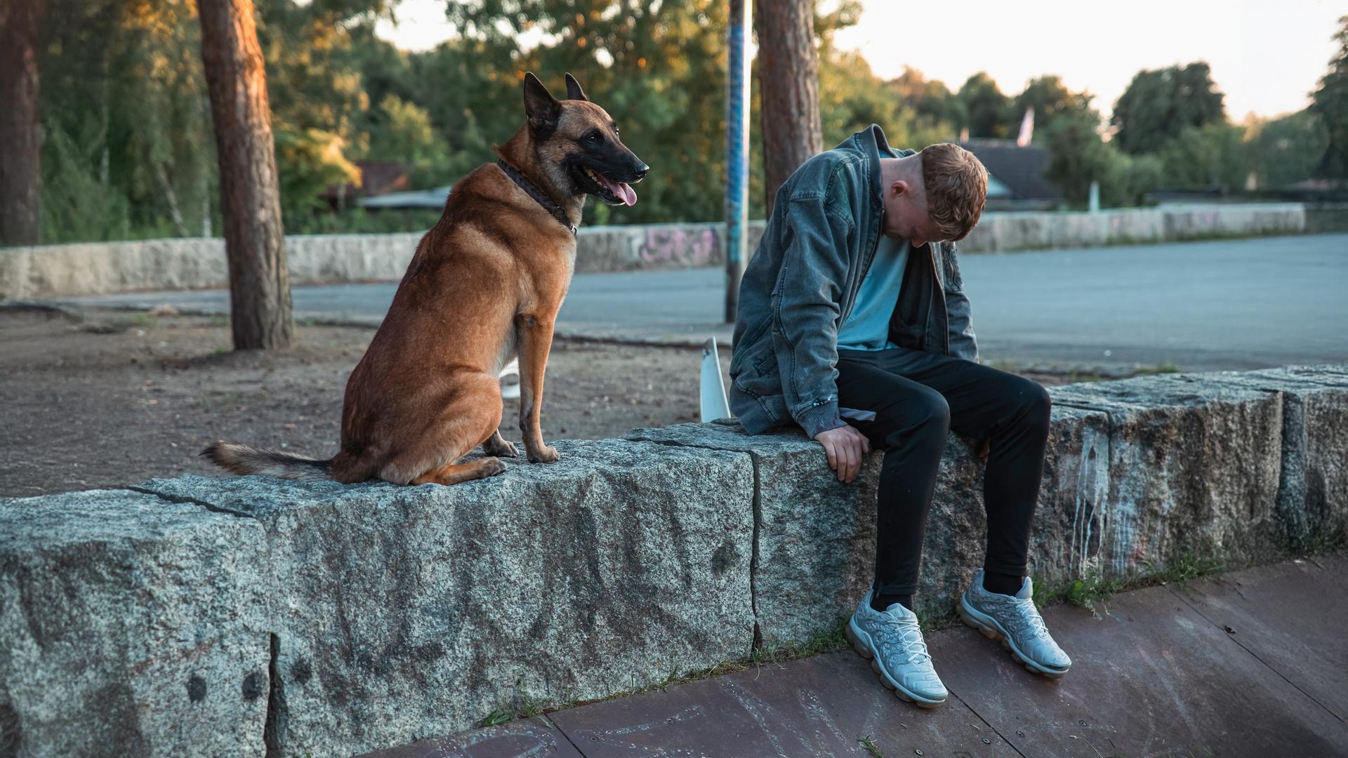 Juma (Vito Sack) sitzt mit gesenktem Kopf auf einer Steinmauer in einem Park. Neben ihm sitzt der Hund Solo, aufmerksam und ruhig. 
