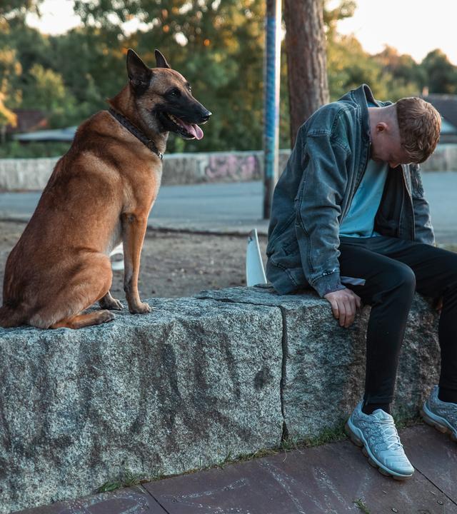 Juma (Vito Sack) sitzt mit gesenktem Kopf auf einer Steinmauer in einem Park. Neben ihm sitzt der Hund Solo, aufmerksam und ruhig. 
