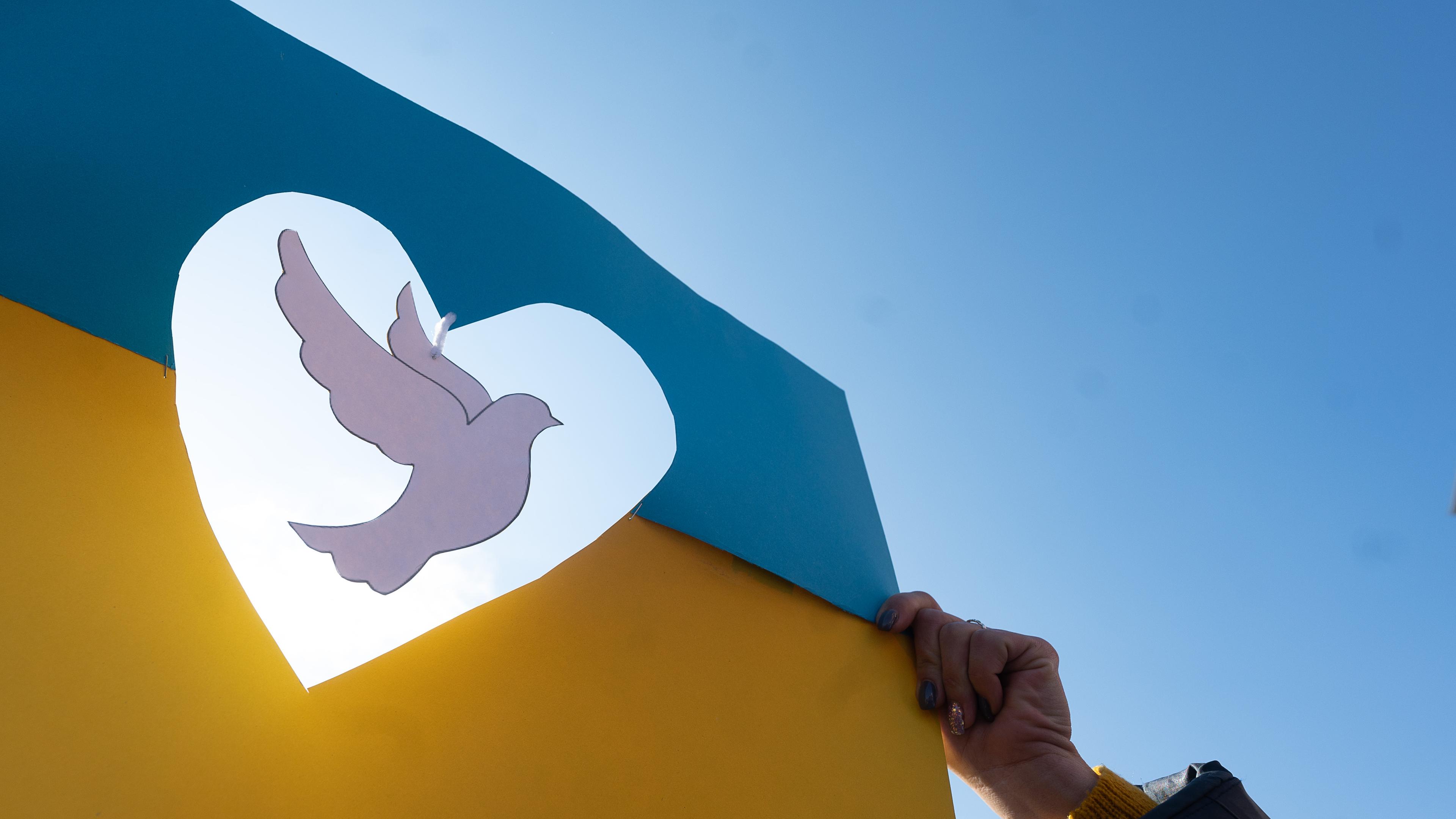 Eine Taube aus Papier schwebt in einer Ukraineflagge aus Papier. 