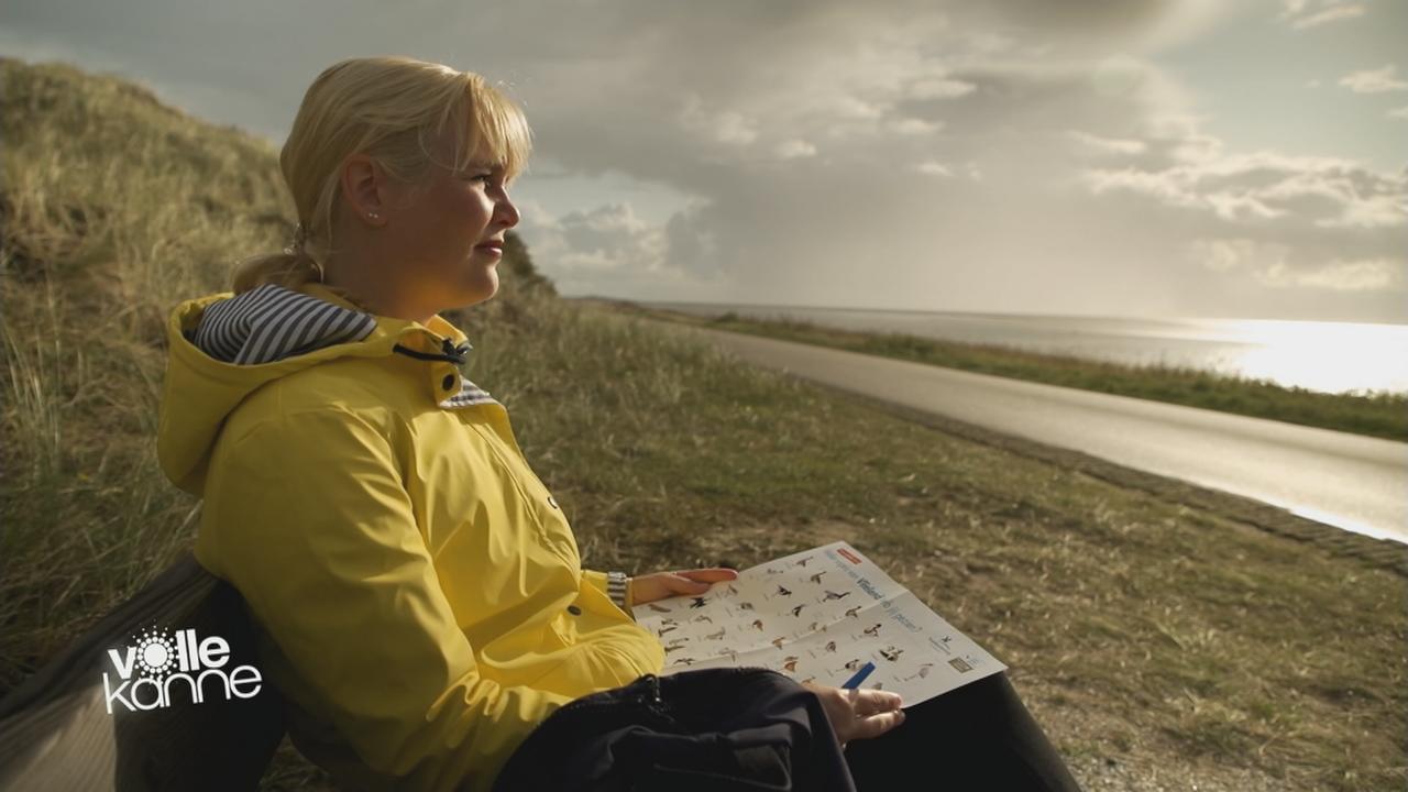 Reisetipp Friesland in den Niederlanden ZDFmediathek