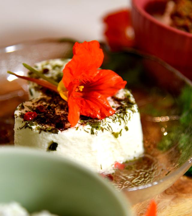 Frischkäsescheibe mit Kabuzinerkresseblüte