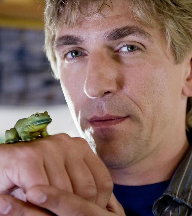 Ein Frosch sitzt auf einem grünen Blatt.