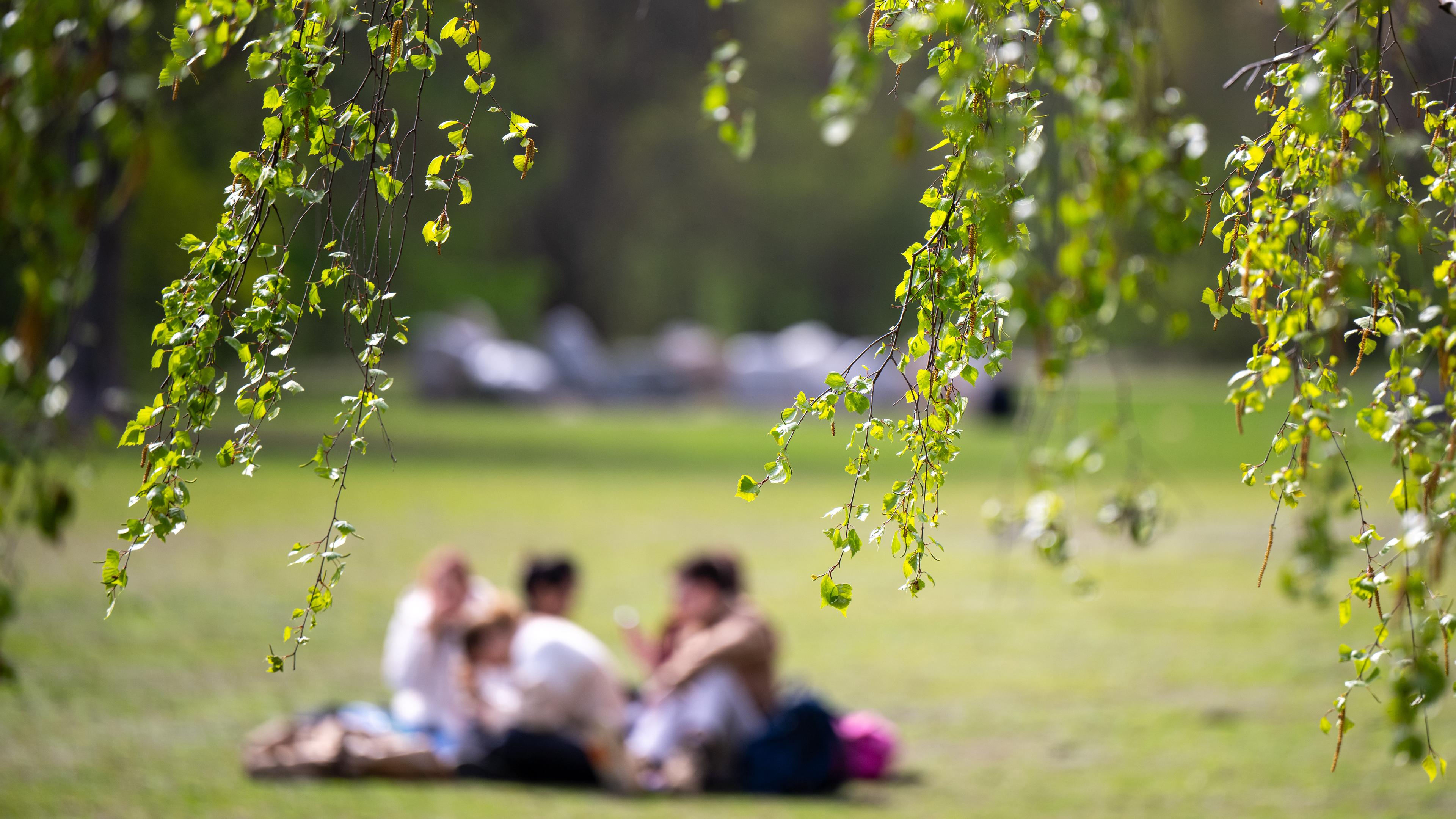 Berlin: Junge Menschen sitzen beim sonnigen Wetter auf dem Rasen im Tiergarten.
