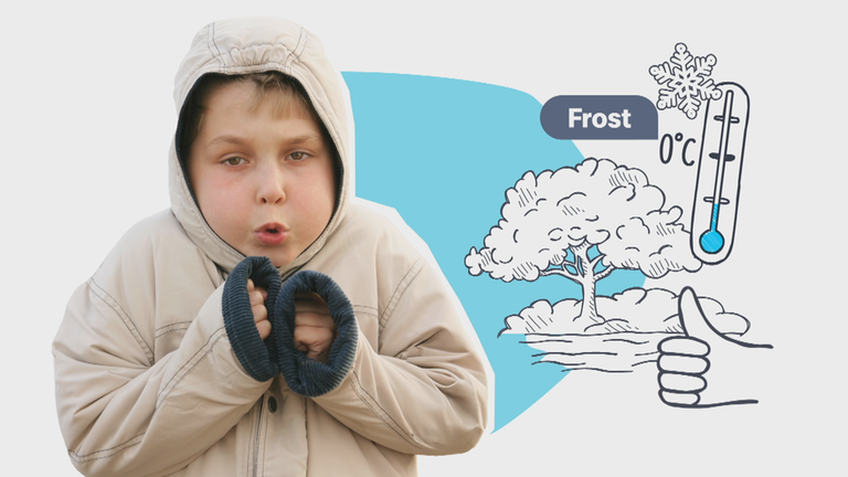 Frost - Warum er wichtig ist