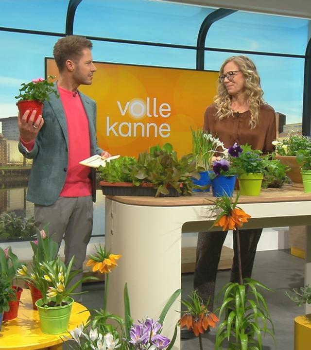 Florian Weiss und Anja Koenzen umgeben von Blumen.