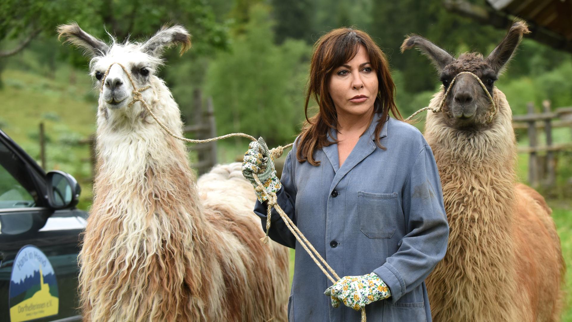 Katja Baumann (Simone Thomalla) steht auf einer Wiese und hält zwei Lamas.