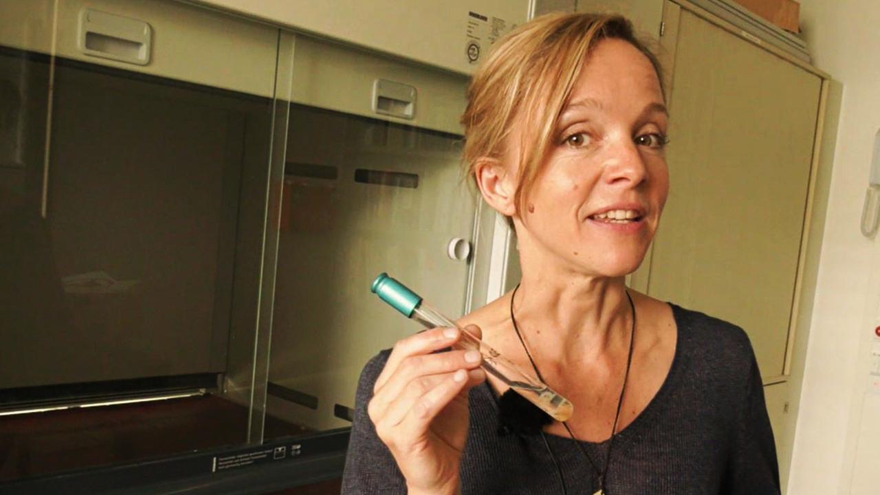 Johanna Klante im Interview.