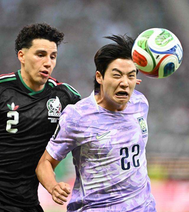 Fußball-WM: Mexiko - Südkorea.