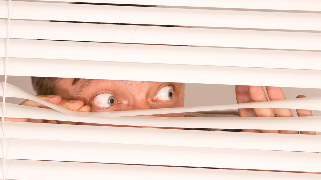 Galliszismen Bilder ZDFtivi