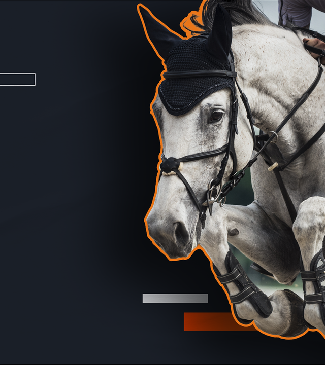 Gamechangers Folge 3: Ist Pferdesport Tierquälerei? 