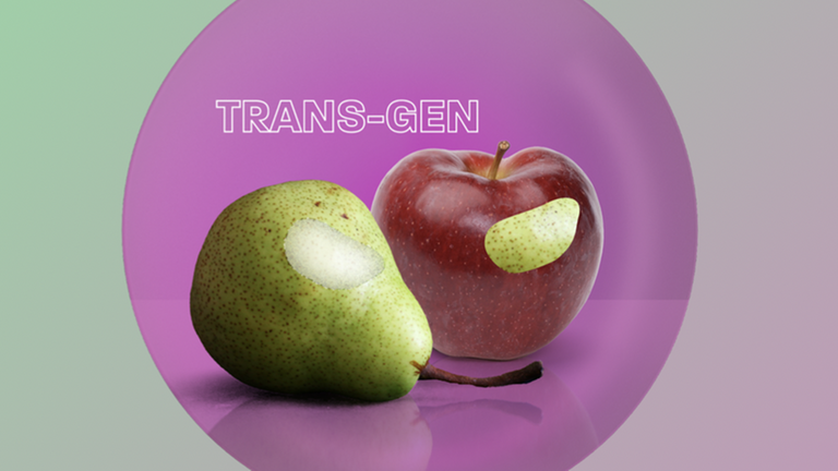 MAITHINK X  | Sendung 10 