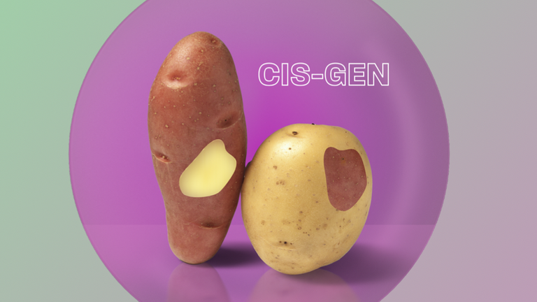 MAITHINK X  | Sendung 10 