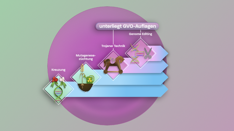 MAITHINK X  | Sendung 10 