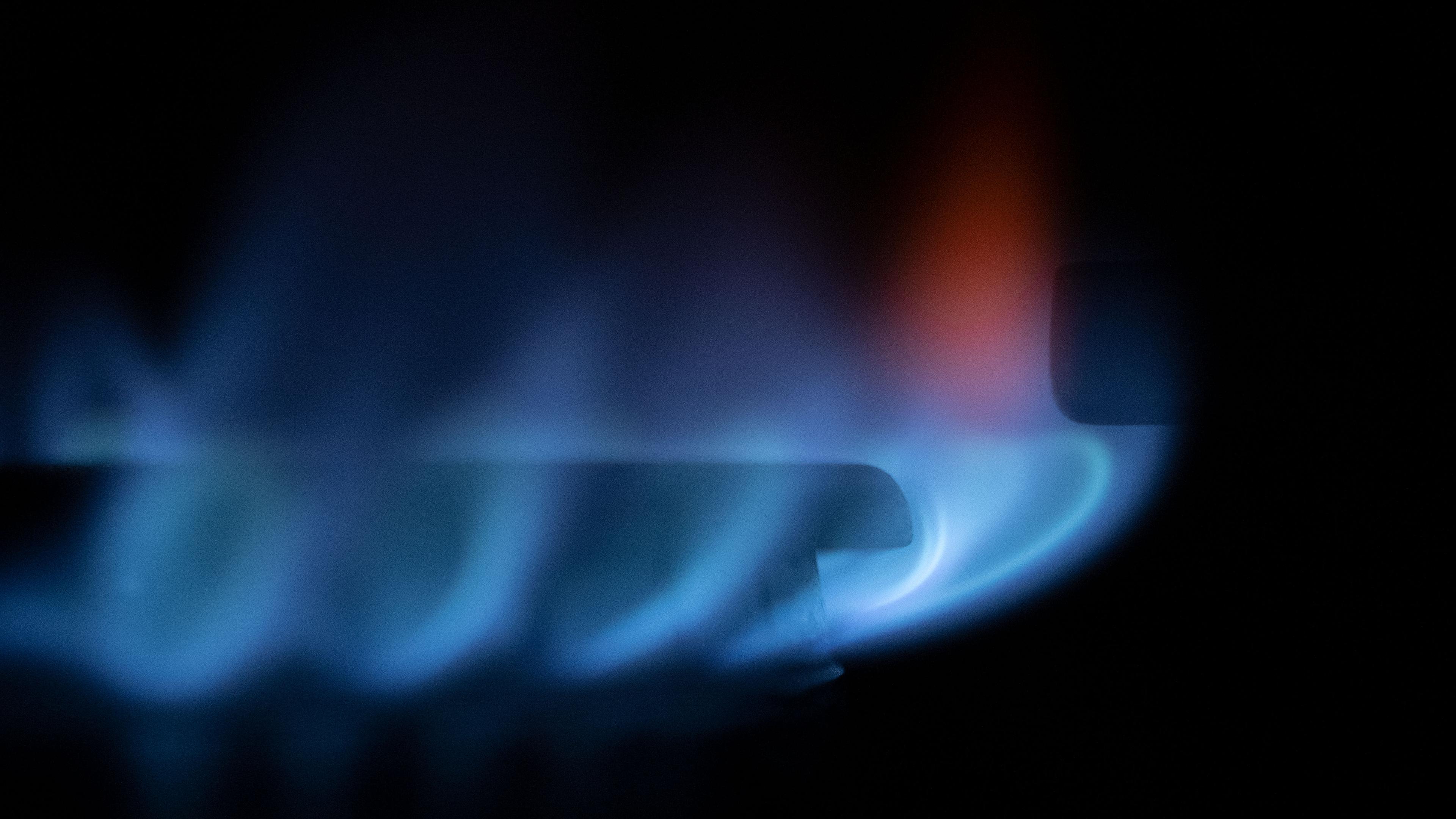 Zahlreiche blau-schimmernde Gas-Flämmchen sind an einem Gasherd zu sehen. (Symbolbild)