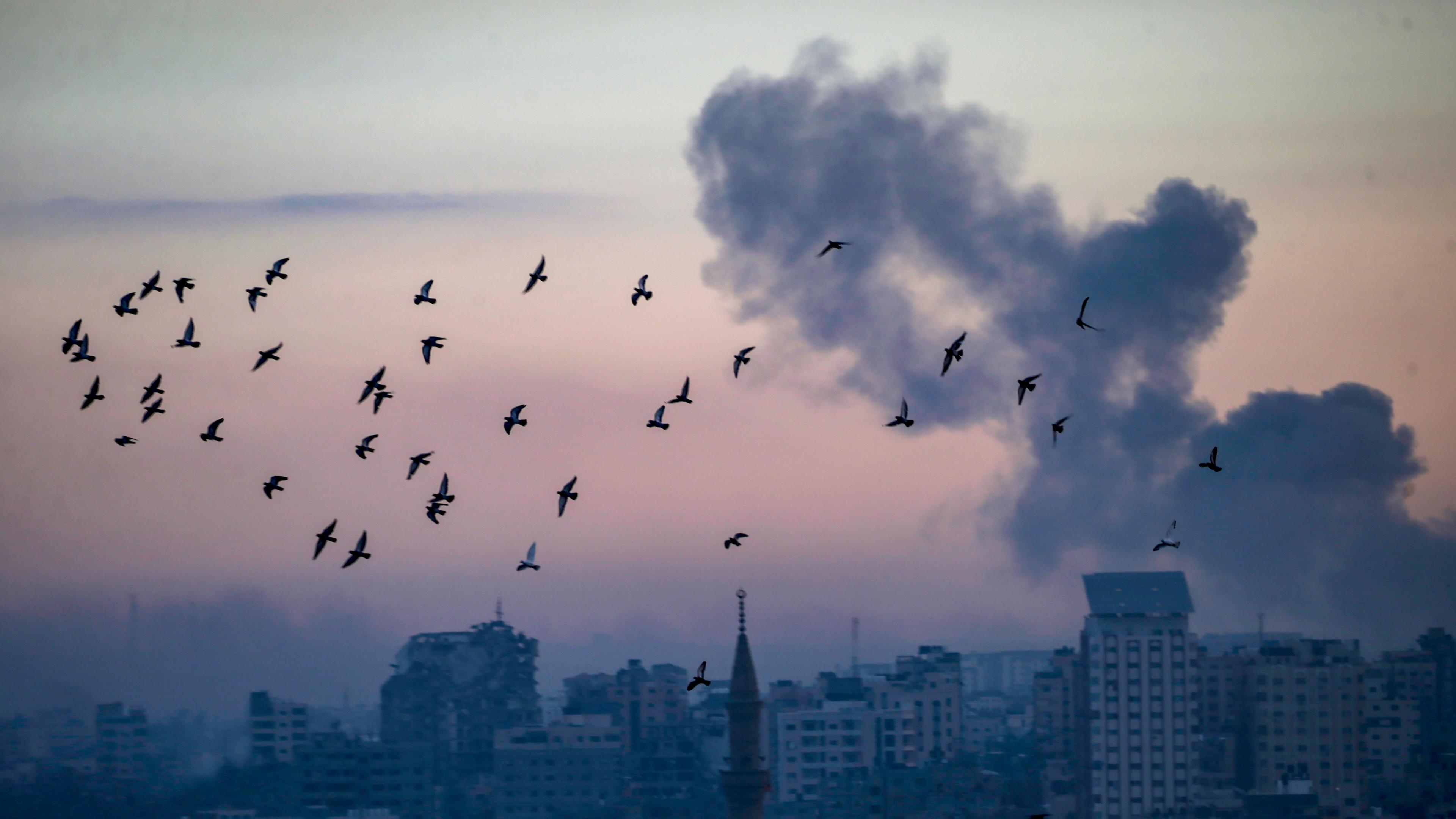 Himmel über dem Gazastreifen mit Rauchwolke und Vogelschwarm