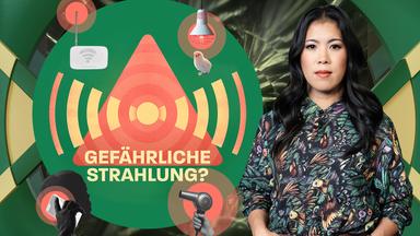 5G, WLAN & Co: Wann ist Strahlung schädlich?