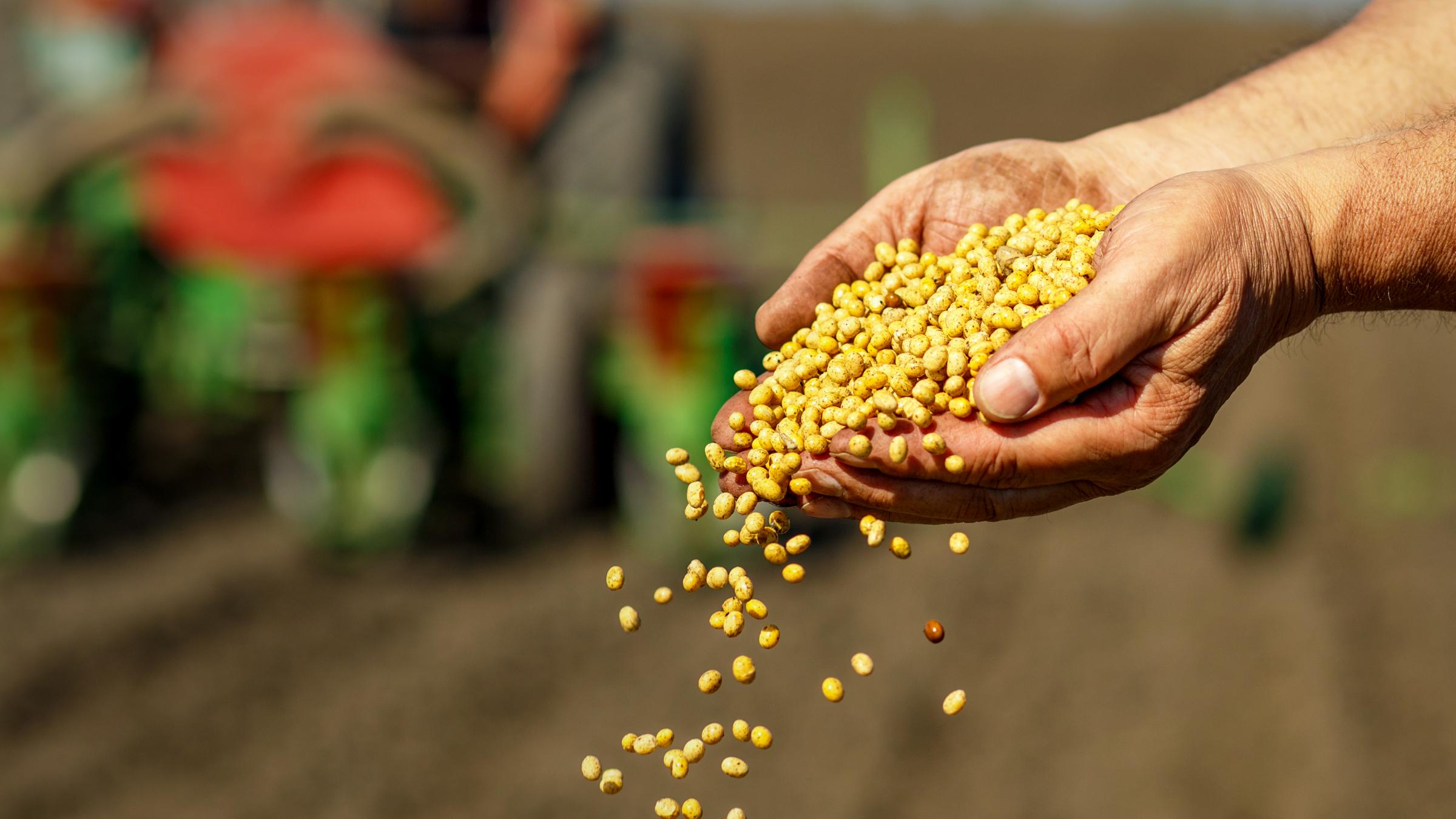 Ein Mann hält eine Hand voll Saatgut; im Hintergrund unscharf ein Traktor.