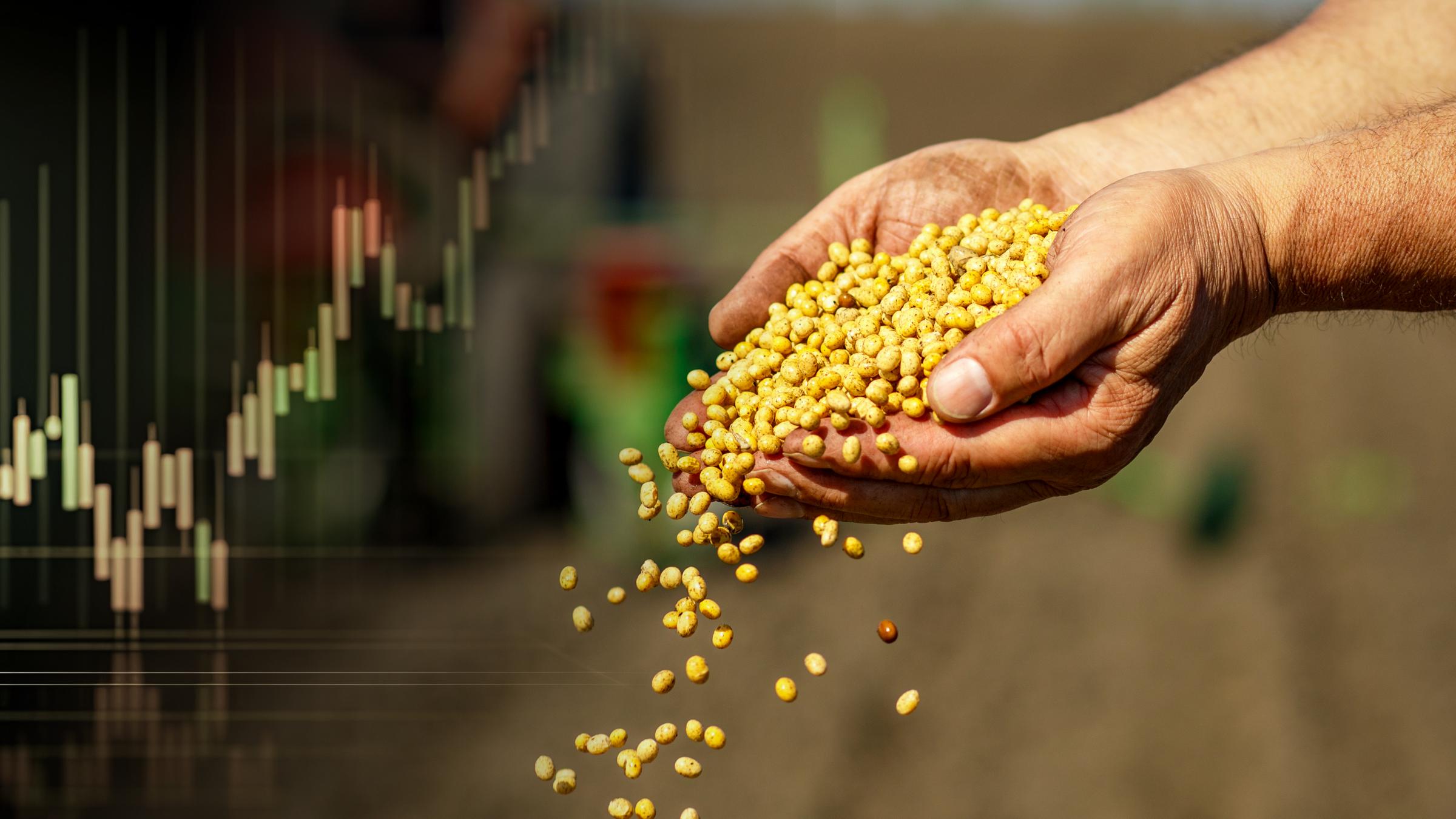 Ein Mann hält eine Hand voll Saatgut; im Hintergrund unscharf ein Traktor. Links: Börsenkurstafel.