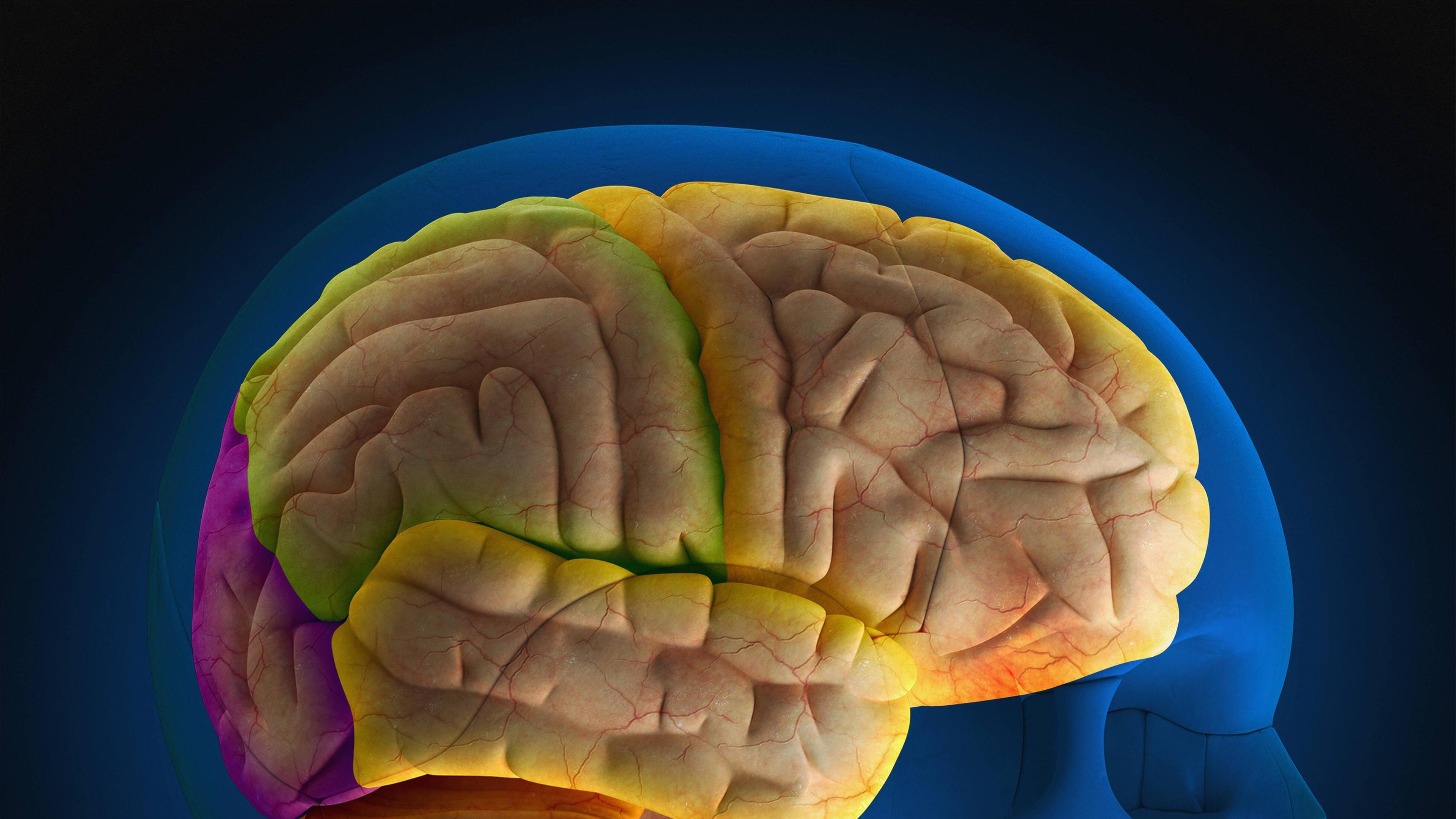 Der Ruckenmarksinfarkt Zdfmediathek