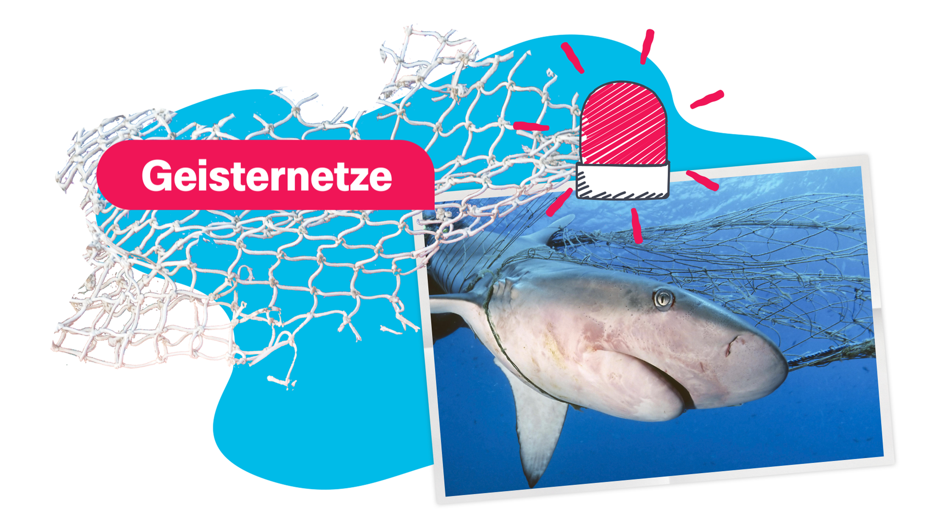 Bild für Gefährliche Geisternetze