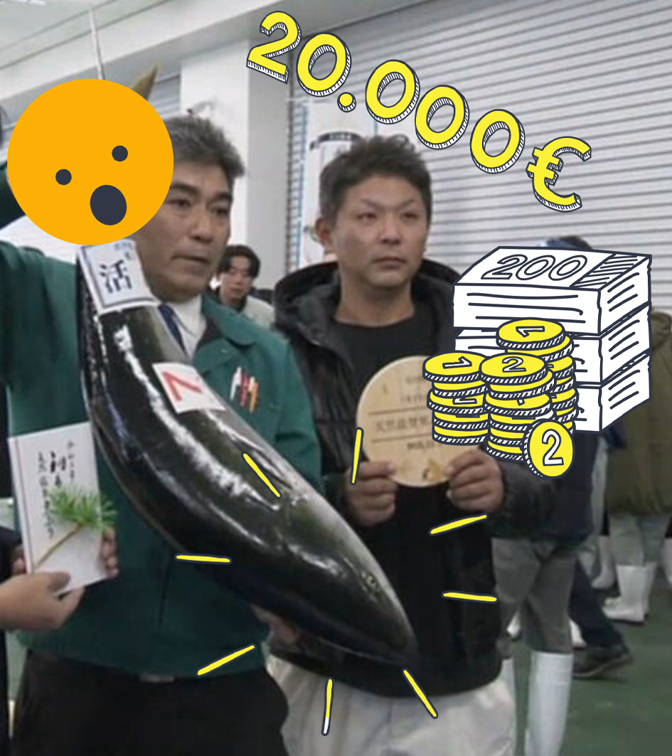 Gelbschwanzmakrele versteigert