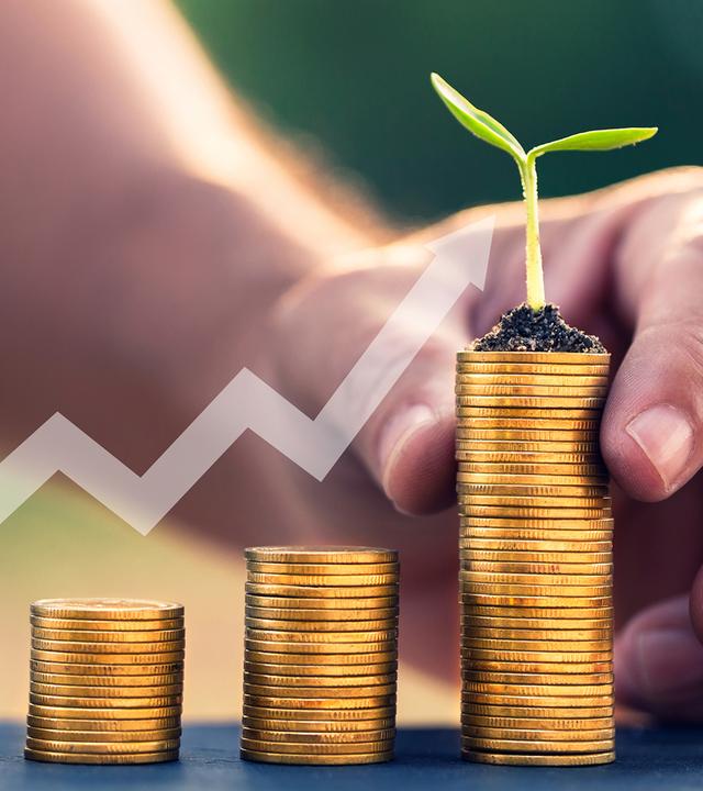 Geldhaufen in unterschiedlicher Höhe