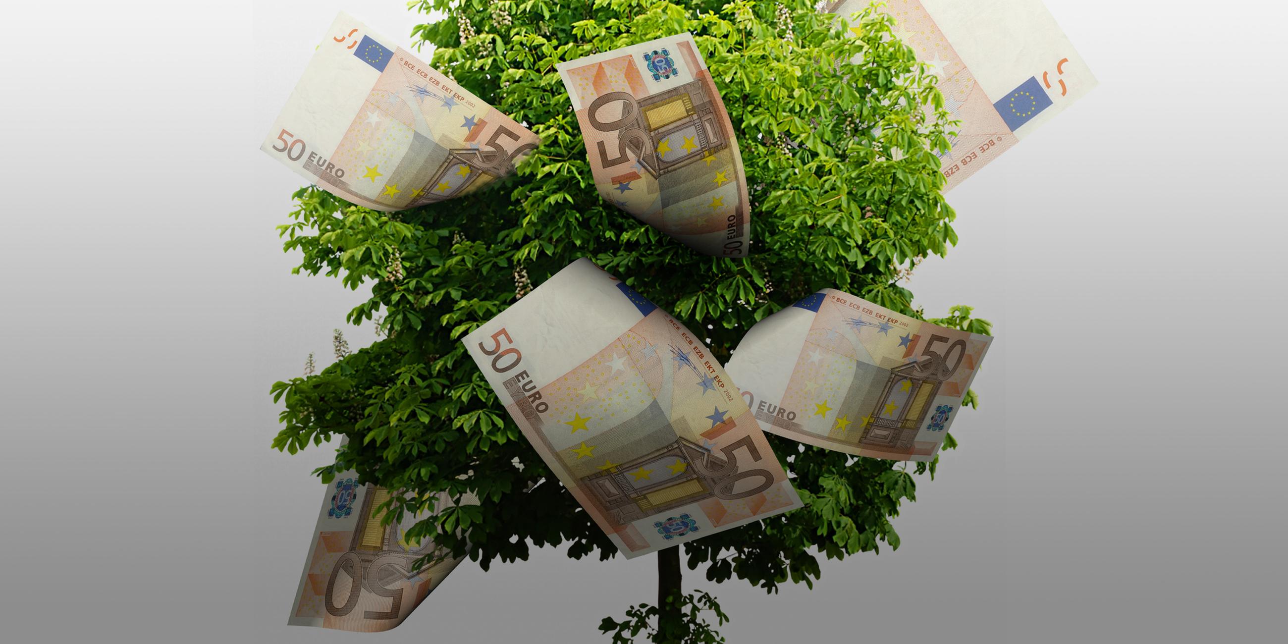 Geld wächst auf einem Baum. Geldscheine sind in der Baumkrone. 