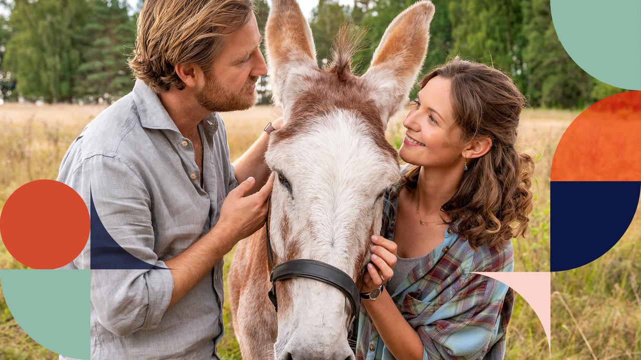 Geliebter Sven Zdfmediathek