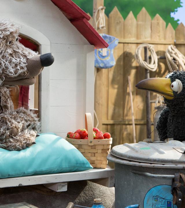 Hofhund Buffo, der in seiner Hütte hockt, und Rabe Rudi schauen auf einen Korb voller Erdbeeren, der vor ihnen steht.