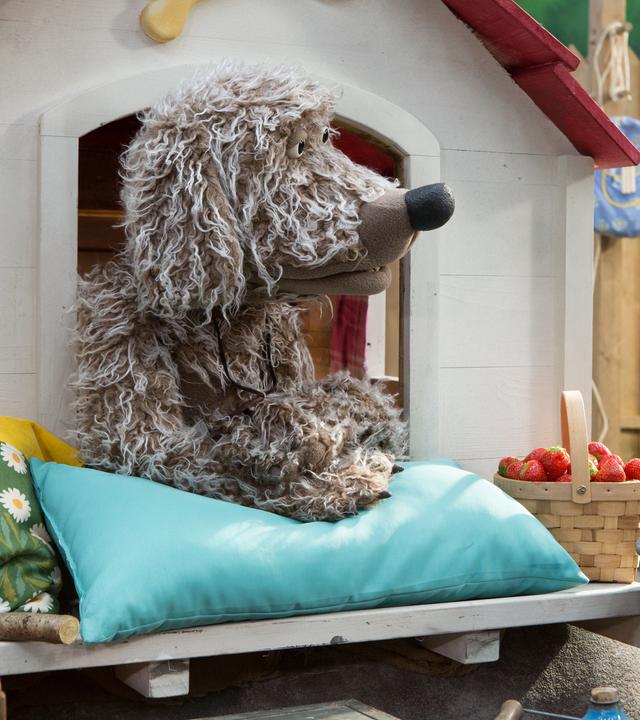 Hofhund Buffo, der in seiner Hütte hockt, und Rabe Rudi schauen auf einen Korb voller Erdbeeren, der vor ihnen steht.