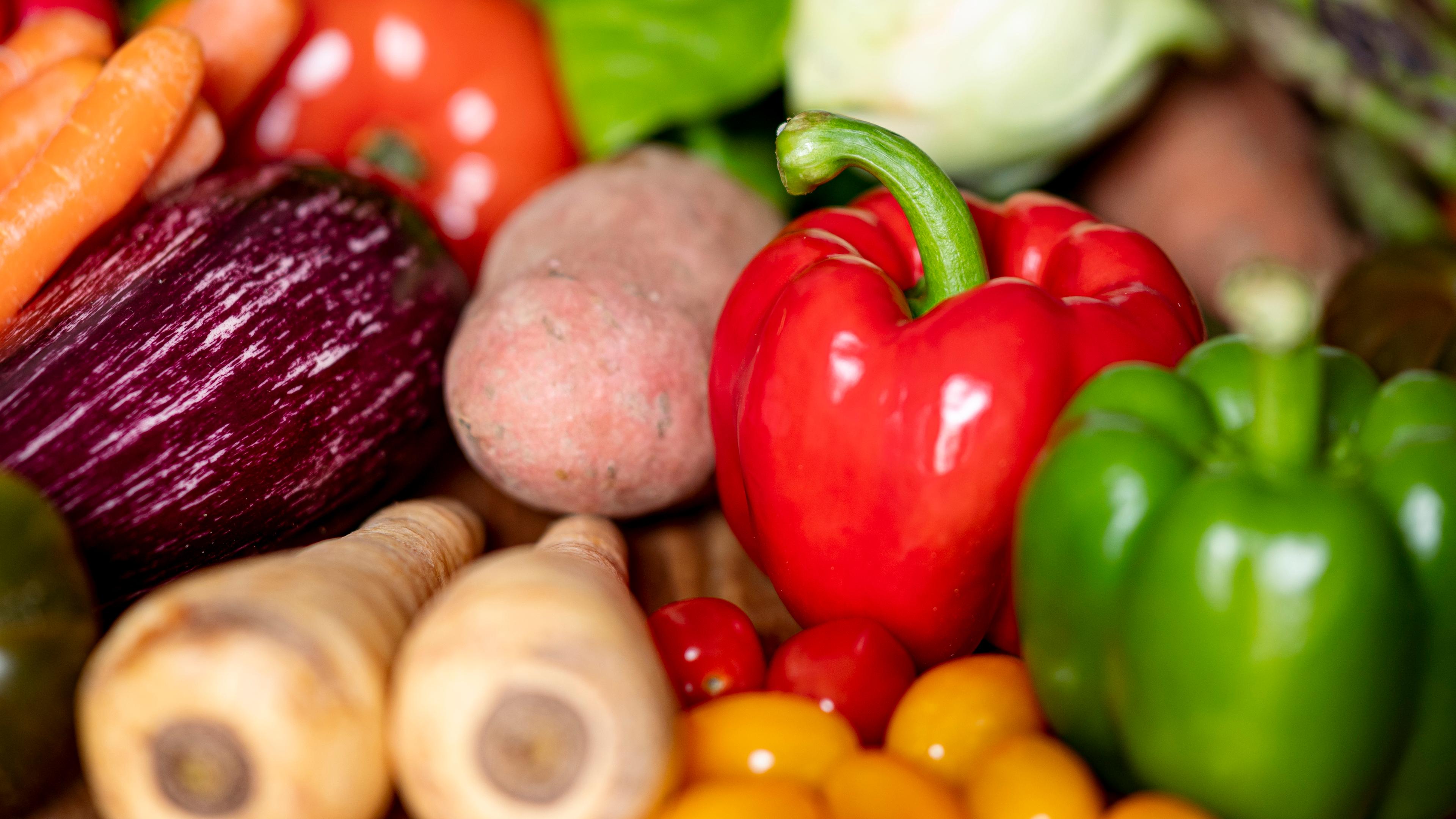 Eine Ansammlung von verschiedenem Gemüse liegt auf einem Tisch, unter anderem: Paprika, Kohlrabi, Pastinaken, Rotkohl und Karotten