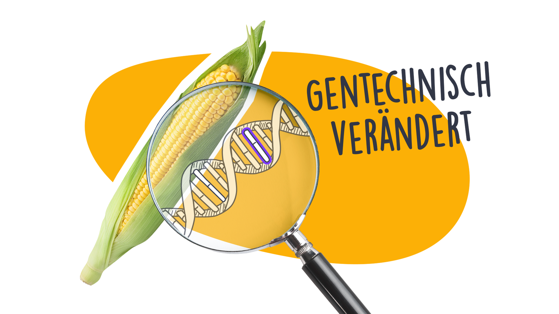 Gentechnisch veränderte Lebensmittel