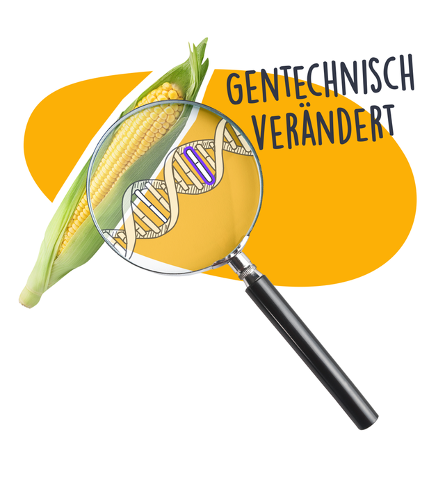 Gentechnisch veränderte Lebensmittel