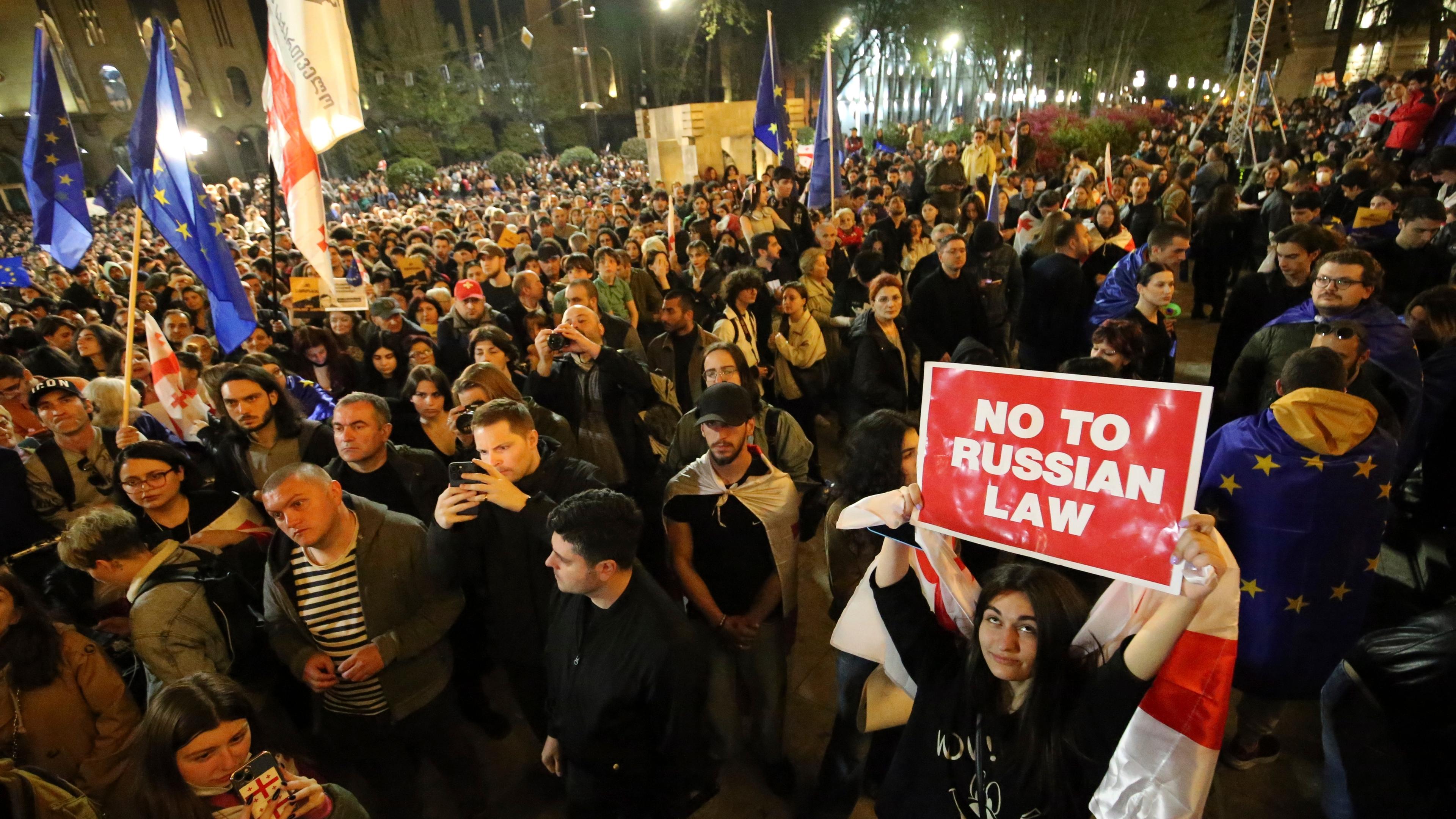 Zahlreiche Demonstranten versammeln sich vor dem Parlamentsgebäude um gegen das «russische Gesetz» zu protestieren.