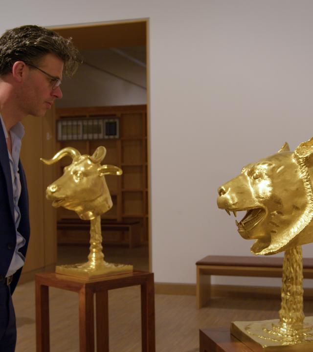 Ein Mann mit Brille betrachtet einen goldenen Tierkopf auf einem Hocker vor ihm, daneben 3 weitere goldene Tierköpfe.