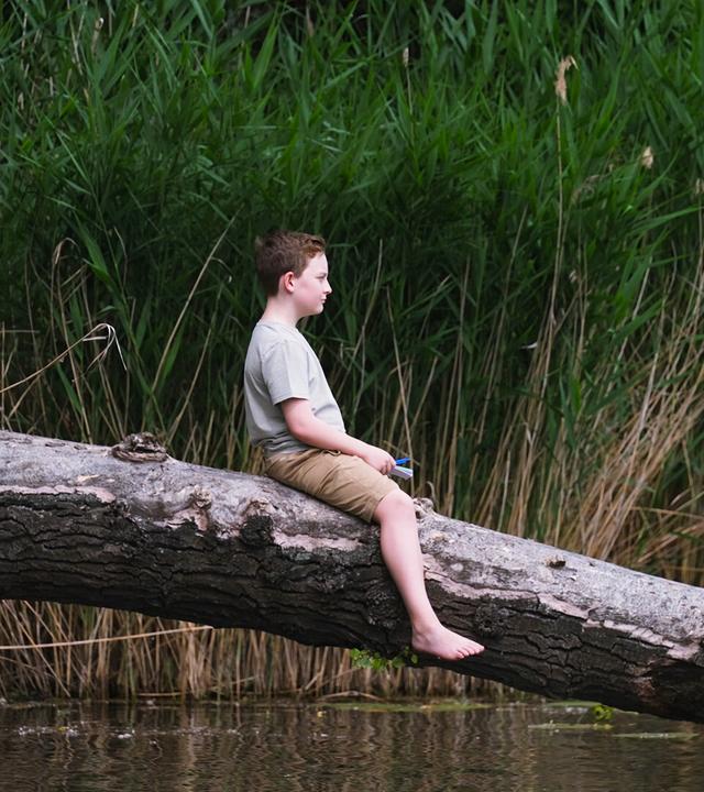 Auf dem Bild sitzt ein Junge auf einem großen, verankerten Baumstamm, der über das Wasser der Alten Donau ragt. Der Junge trägt ein graues T-Shirt und beige Shorts. Er hat kurze, braune Haare und schaut nachdenklich in die Ferne. Um ihn herum sind hohe, grüne Schilfpflanzen, die am Ufer wachsen. Der Hintergrund ist von weichem Wasser und einer ruhigen, natürlichen Umgebung geprägt, was eine friedliche Atmosphäre vermittelt. Der Baumstamm, auf dem er sitzt, ist grau und zeigt eine sichtbare Struktur der Baumrinde. Die gesamte Szenerie ist idyllisch und spiegelt die Verbindung zur Natur wider.