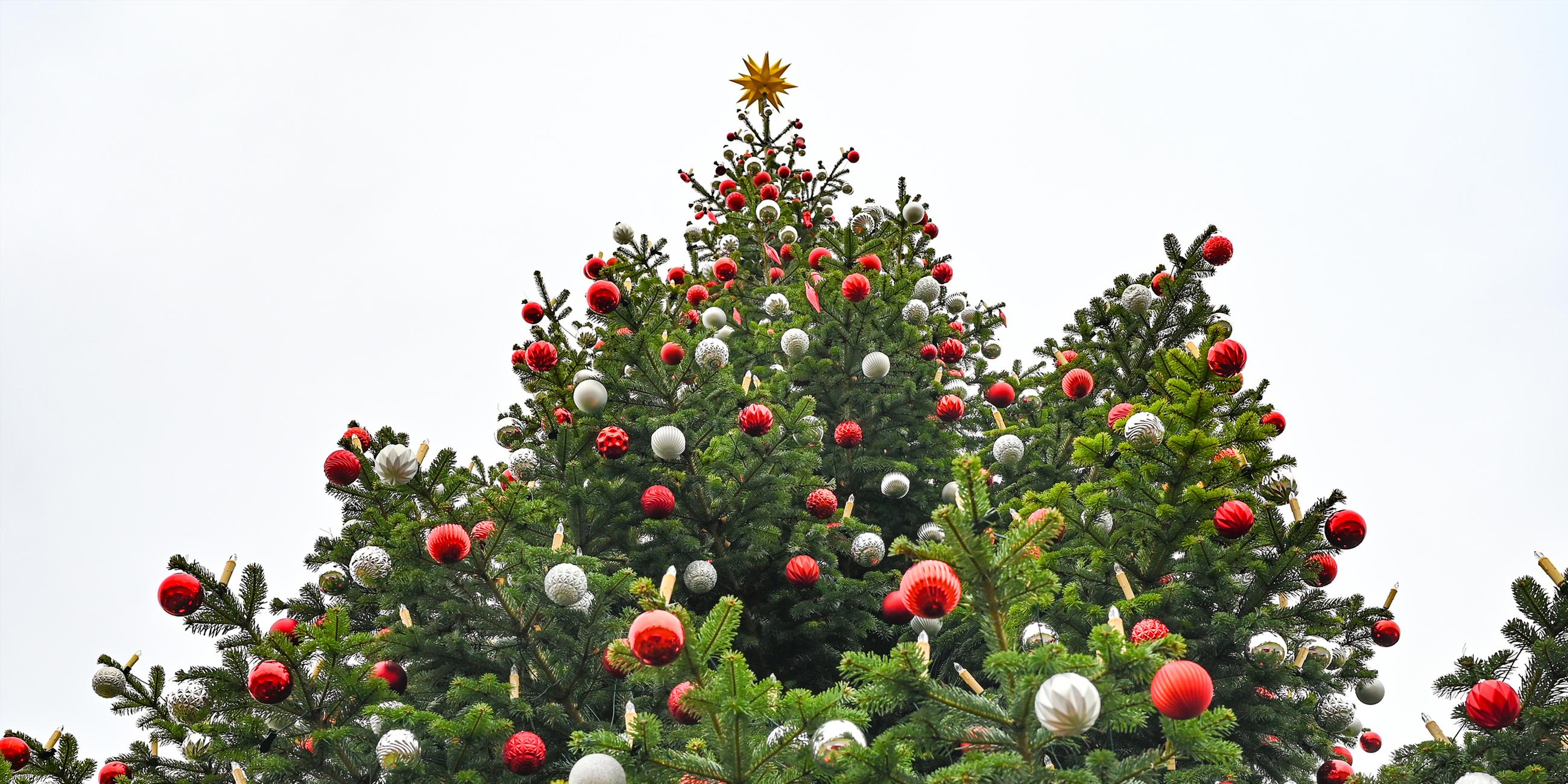 Geschmückter Weihnachtsbaum